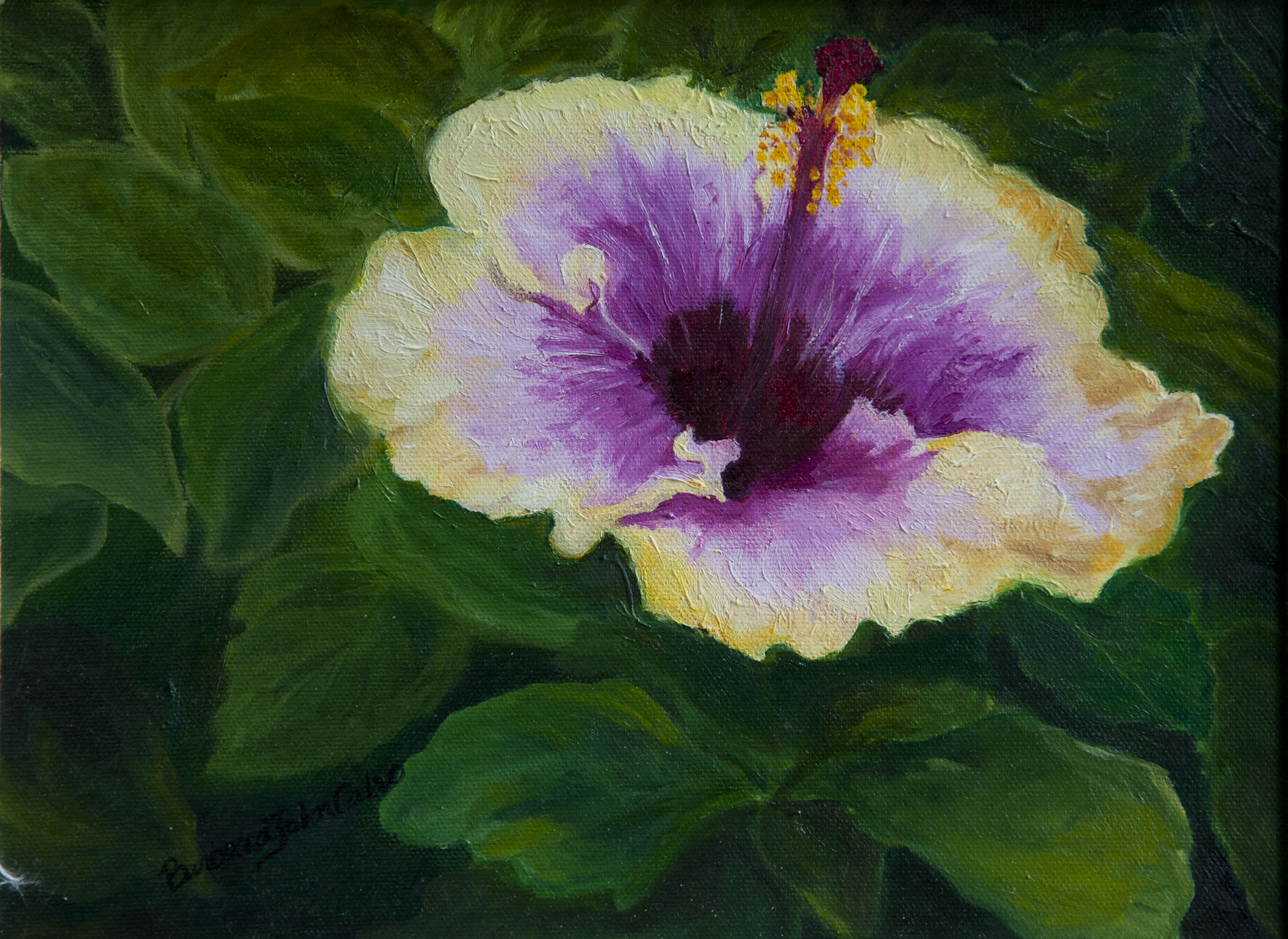 Hibiscus